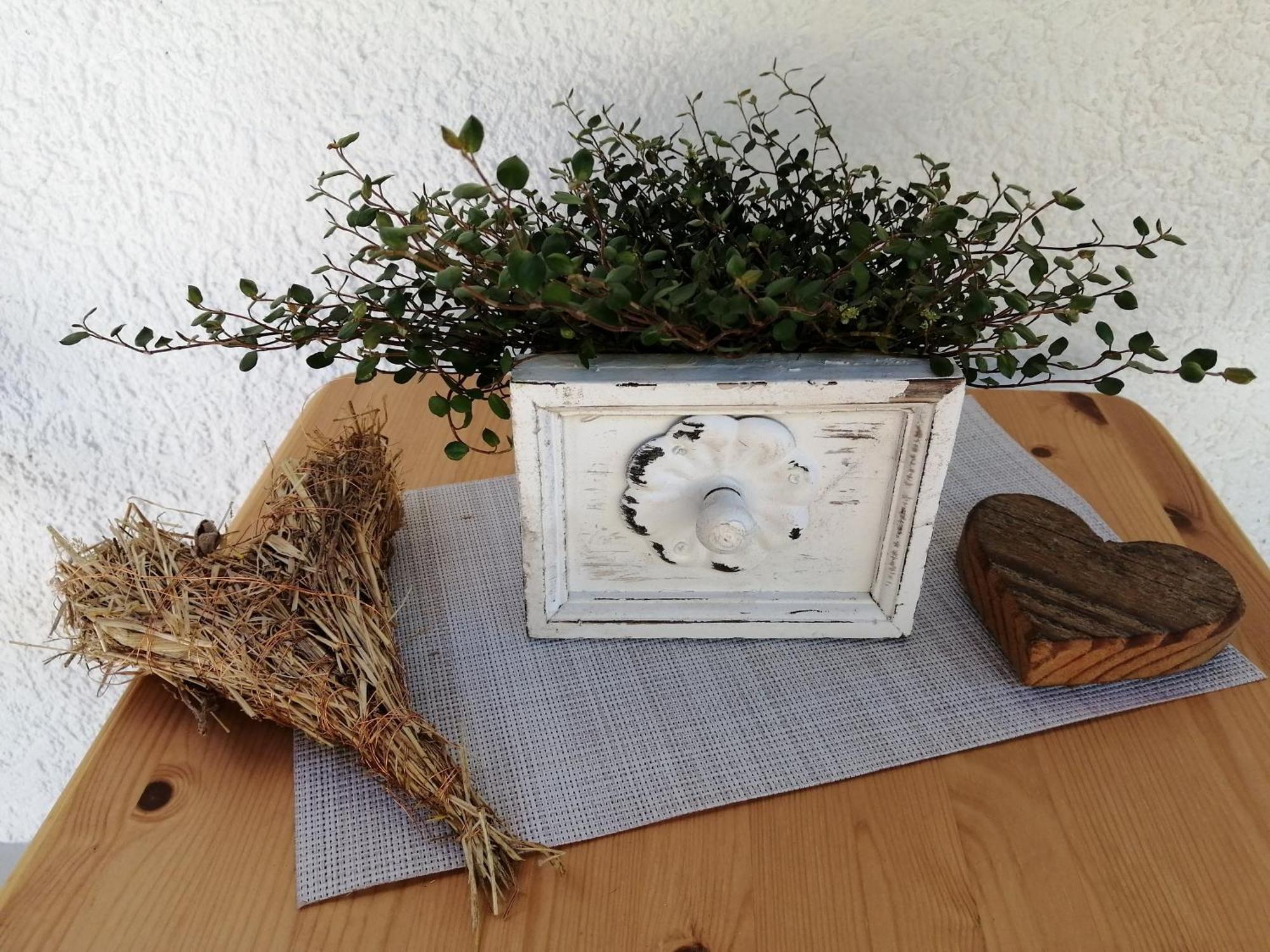 זיבאך Ferienwohnung Deine Rauszeit מראה חיצוני תמונה